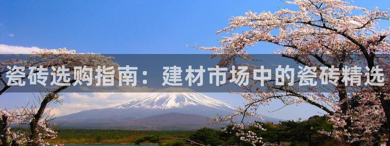 杏鑫平台注册地址在哪里