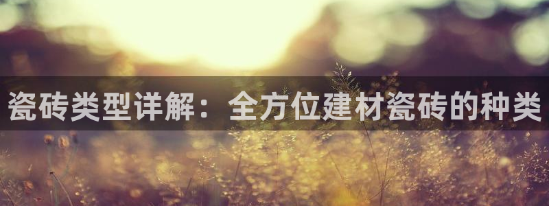 杏鑫注册平台官方网站是什么