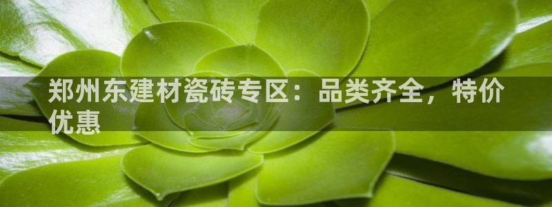 杏鑫娱乐平台测速怎么样