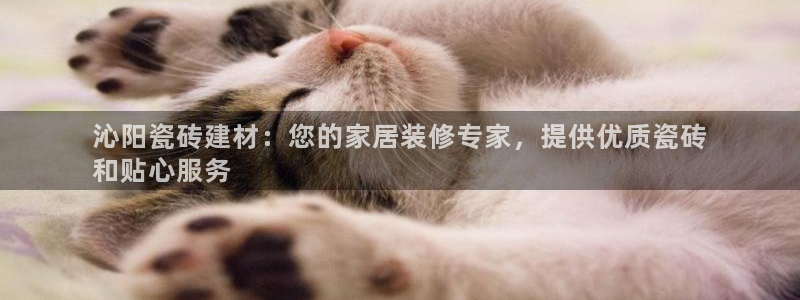 杏鑫平台代理