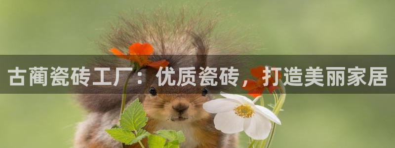 杏鑫娱乐平台测速