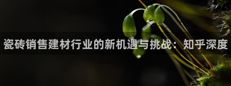 杏鑫平台怎么样黑钱吗是真的吗知乎
