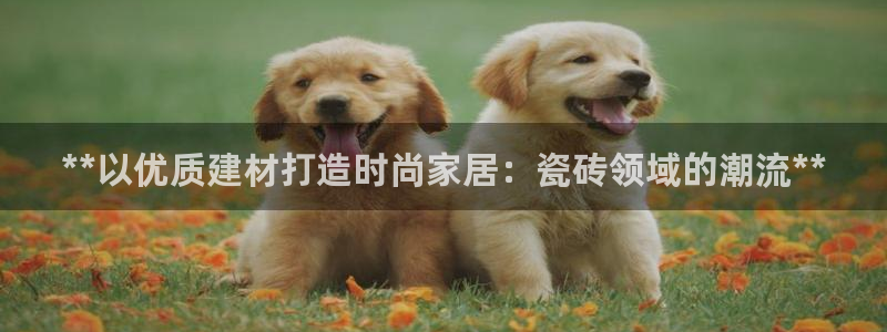 杏鑫平台代理注册流程图