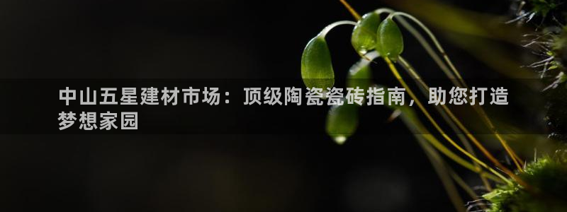 杏鑫注册登录网址是什么