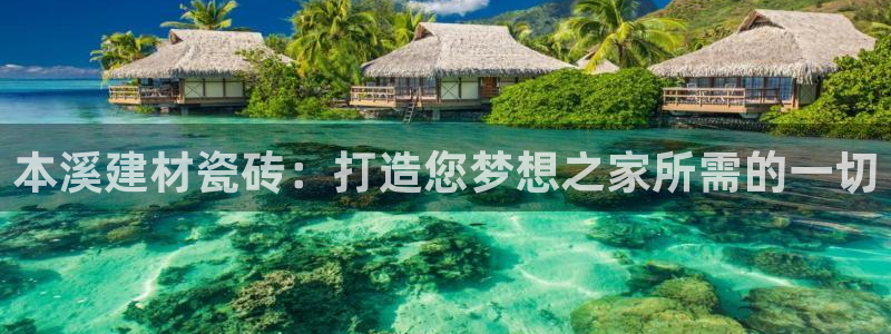 杏鑫主管
