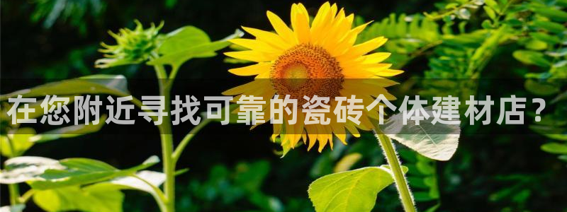 杏鑫平台注册地址