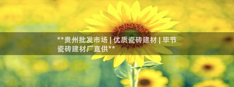 杏鑫平台代理怎么样赚钱