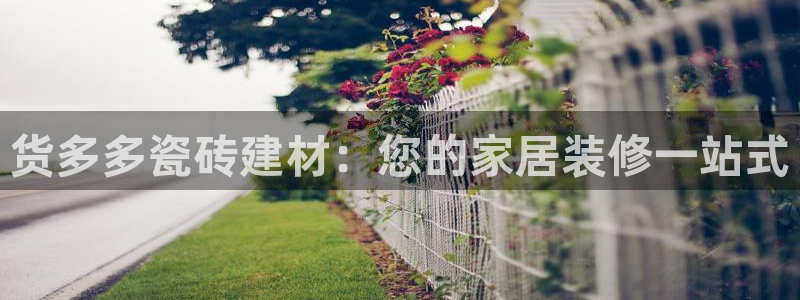 杏鑫平台在线注册流程