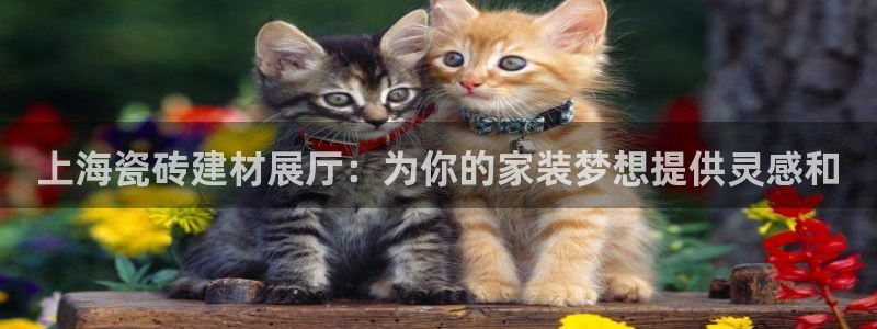 杏鑫娱乐官网首页