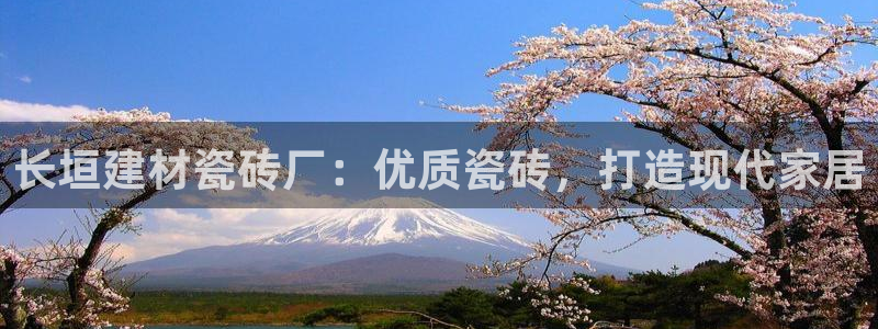 杏鑫娱乐平台登录