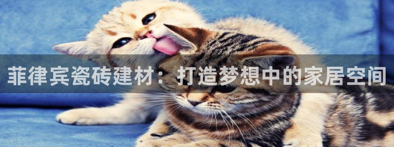杏鑫平台代理怎么做