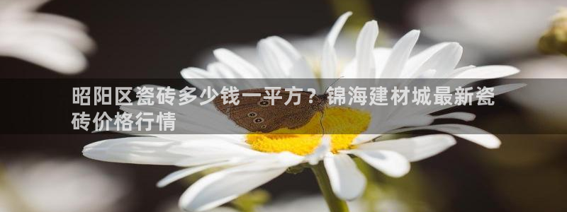 杏鑫平台测速怎么样