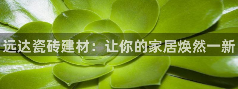 杏鑫娱乐平台测速怎么样