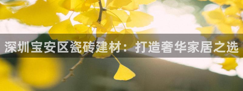 杏鑫平台代理怎么样啊