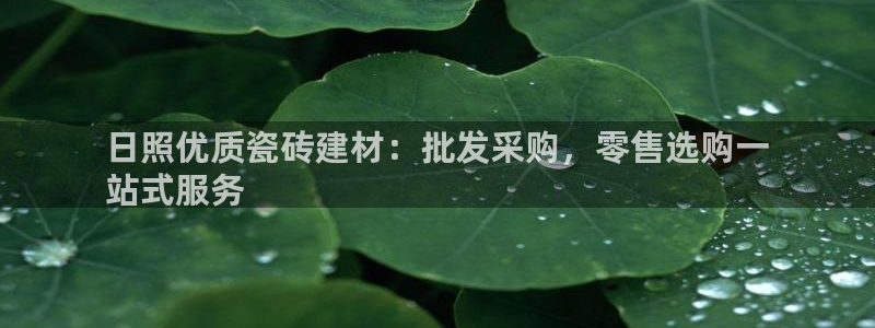 杏鑫3主管