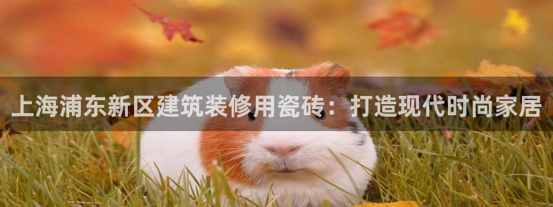 杏鑫平台登录地址