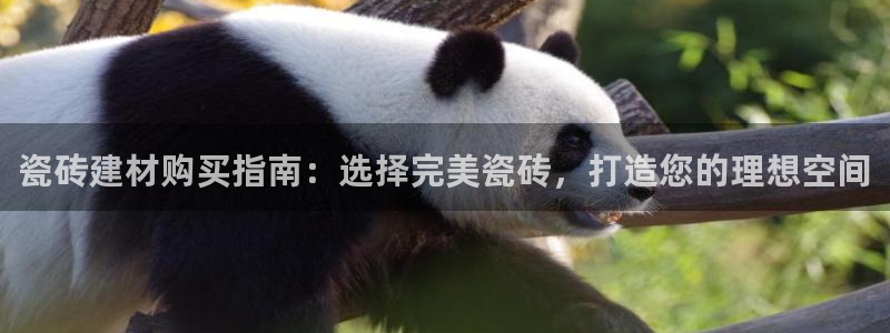 杏鑫官网注册账号怎么注册