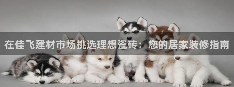 杏鑫娱乐怎么样