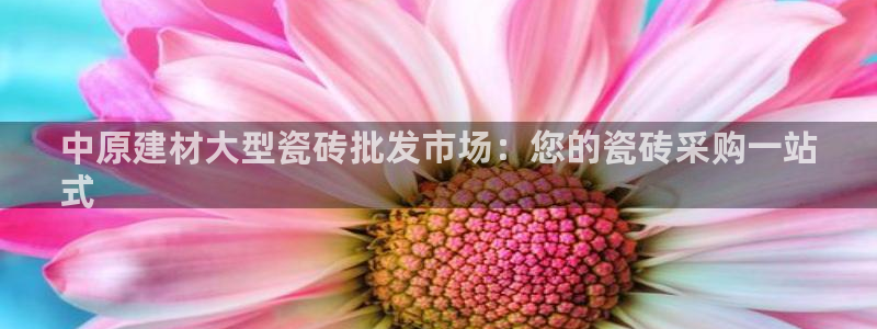 杏鑫平台平台