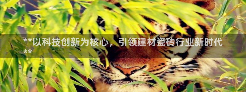 杏鑫平台登录地址在哪