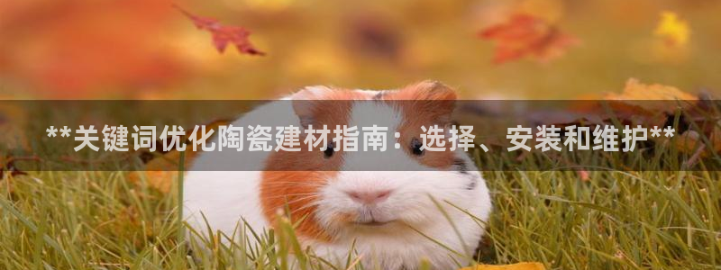 杏鑫平台登录地址查询