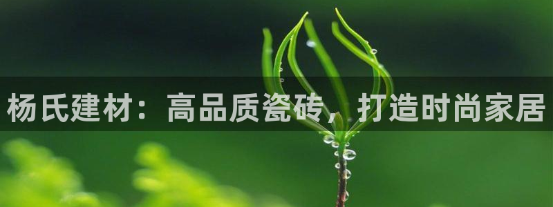 杏鑫平台注册地址在哪里