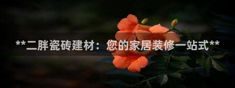 杏鑫娱乐官方网站客户端