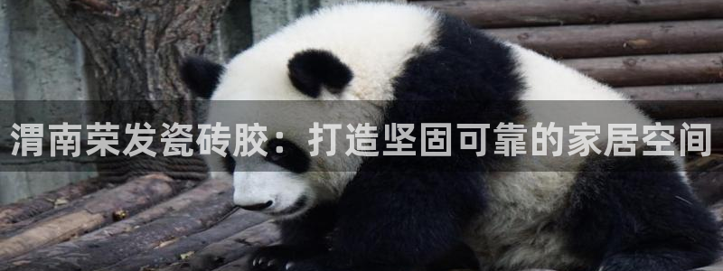 杏鑫官网注册账号