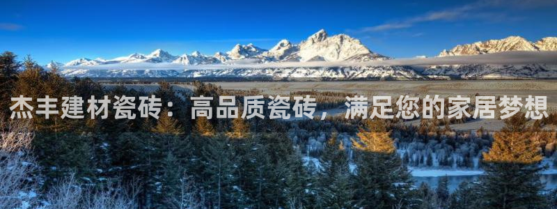 杏鑫招商总代