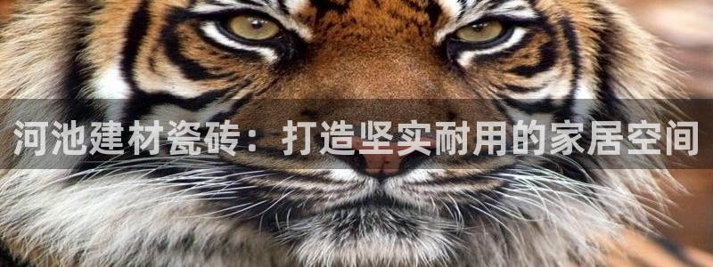 杏鑫平台提供