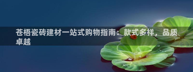杏鑫平台待遇