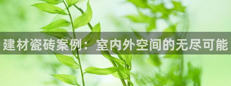 杏鑫平台念7O777