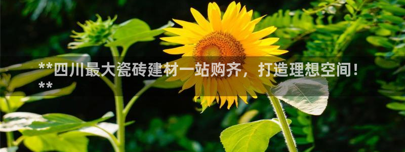 杏鑫平台招商怎么样可靠吗