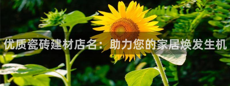 杏鑫娱乐多少年了
