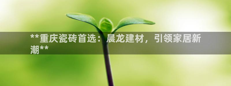 杏鑫官网注册账号是什么意思