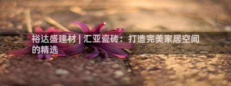 杏鑫登录注册测速