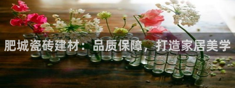 杏鑫平台代理怎么做赚钱