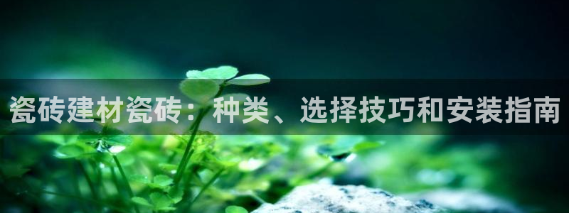 杏鑫主管