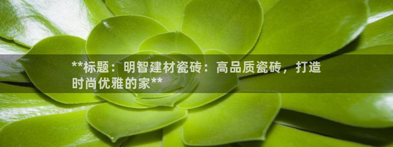 杏鑫注册登录平台是什么