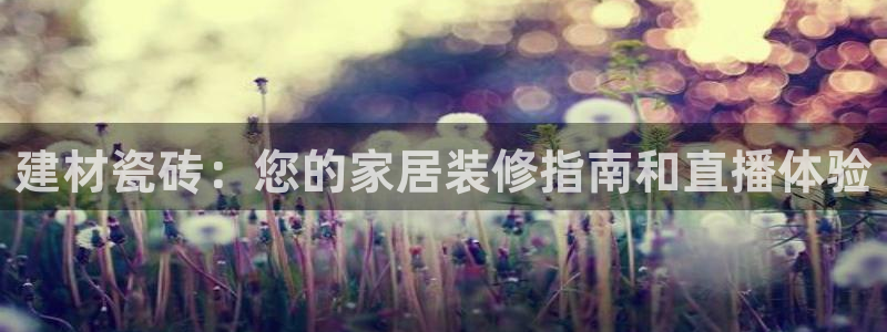 杏鑫平台线路测速