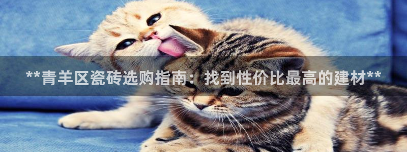 杏鑫娱乐怎么样
