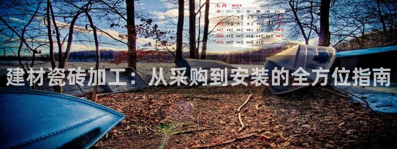 杏鑫平台怎么样