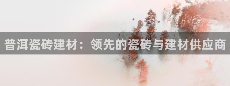 杏鑫平台注册地址是哪里