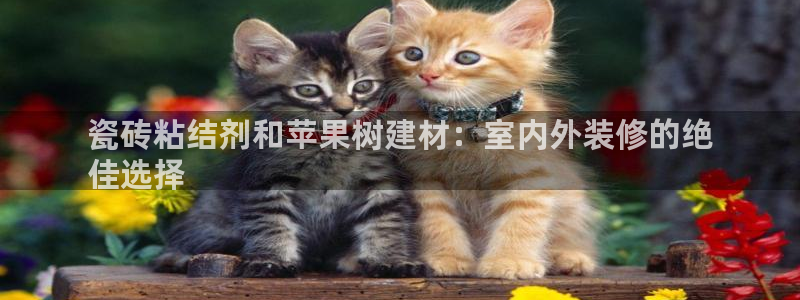 杏鑫平台念7O777