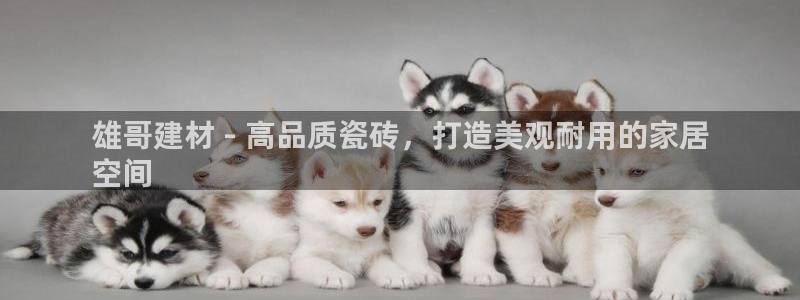 杏鑫官网最新信息新闻报道