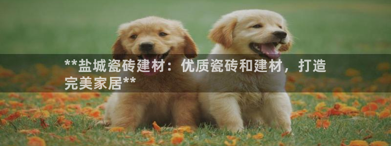 杏鑫平台代理怎么做赚钱