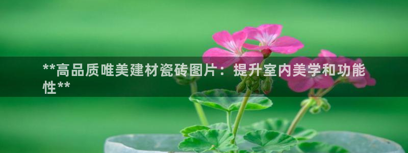杏鑫娱乐是真的吗还是假的