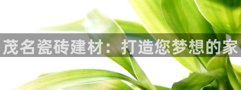杏鑫娱乐负责人