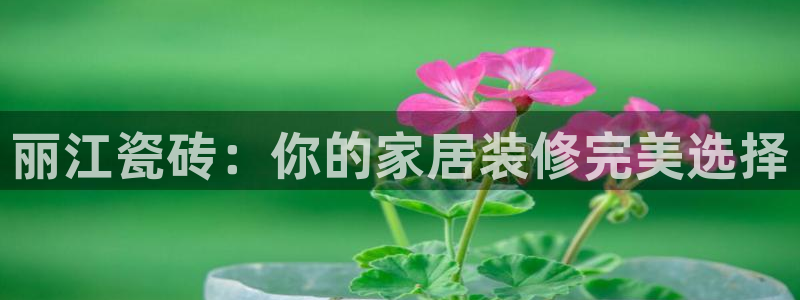 杏鑫平台招商怎么样啊