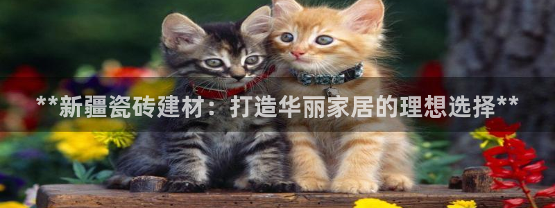 杏鑫娱乐多少年了
